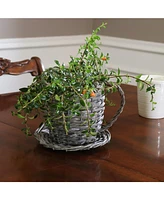 Sunnydaze Decor Willow Wicker Coffee Cup Basket Planters - For Indoor Use Only - Set of 2 - Gray - Unique Teacup Shape