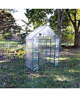 Deluxe Portable Walk-In Greenhouse with 4 Shelves