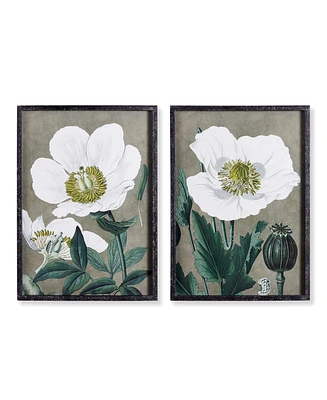 Napa Home & Garden Poppy Prints Set of 2