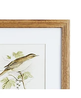 Napa Home & Garden Perching Bird Study Petite, Set Of 4