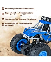 Sunnydaze Decor Monster Truck Remote Control Car - 1:16 Scale - Pivoting Tires - Birthday or Christmas Gift for Kids Ages 6+