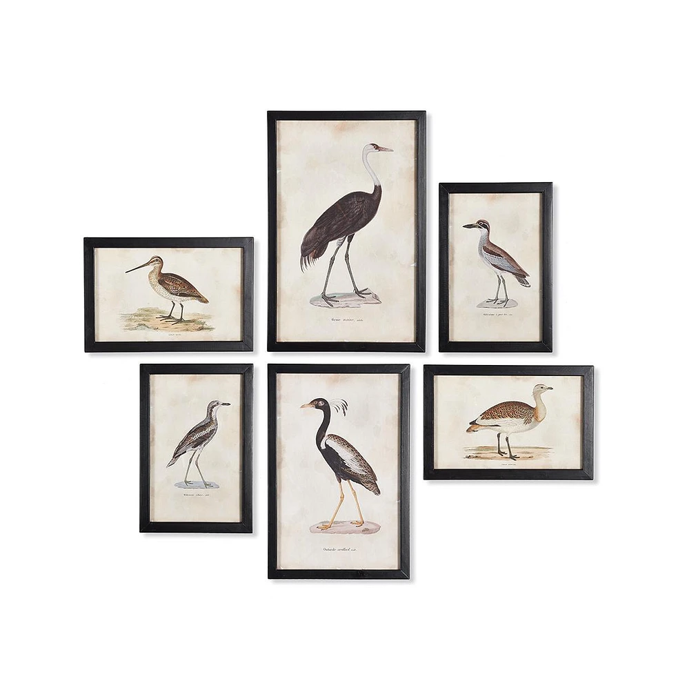 Napa Home & Garden Waterfowl Gallery, Set Of 6