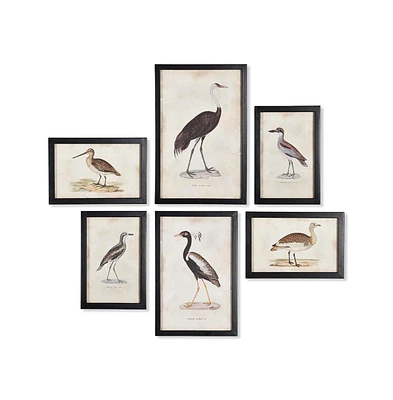 Napa Home & Garden Waterfowl Gallery, Set Of 6