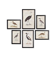 Napa Home & Garden Waterfowl Gallery, Set Of 6