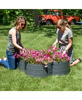 Sunnydaze Decor 4-Leaf Clover-Shaped Galvanized Steel Raised Garden Bed - For Vegetables and Plants 39.4 Gal Capacity 43-Inch W