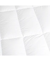 Bokser Home Feather & Down Plush Luxury Mattress Topper -Queen