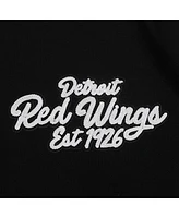 Pro Standard Men's Black Detroit Red Wings Paint the City Pullover Hoodie