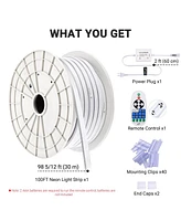 DELight 100FT/30m Led Strip Neon Rope Lights with Remote Control Warm White, 2-Sided Waterproof Cuttable Ac 110V Dimmable Flexible Led Lights Diy for