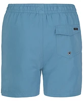 Quiksilver Big Boys Everyday Volley Swim Shorts