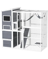 PawHut Large Catio Outdoor Cat Enclosure for 2-3 Cats 76" x 36" x 68"