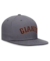 Nike Men's Gray San Francisco Giants Performance True Fitted Hat