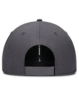 Nike Men's Gray Milwaukee Brewers Club Performance Adjustable Hat