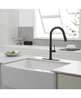 Single Handle Pull Down Sprayer Kitchen Faucet