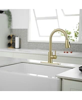 Single Handle Pull-Down Sprayer Spray High Arc Pull Down Sprayer Kitchen Faucet