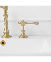 8 in. Widespread Double Handle 3 Hole Bathroom Faucet