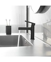 Single Handle Hole Modern Black Bathroom Faucet Drip-Free Vanity Sink Polished Chrome