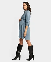 Seraphine Women's Maternity Chambray Dress