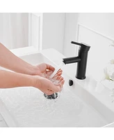 Single Hole Single-Handle Bathroom Faucet With Pop Up Drain in Matte Black