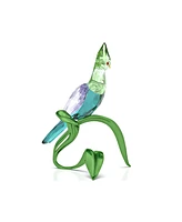 Swarovski Idyllia Turaco Figurine