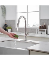 Single Handle Pull Down Sprayer Kitchen Faucet