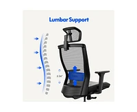 FlexiSpot C4B Ergonomic Mesh High-Back Office Chair, Black