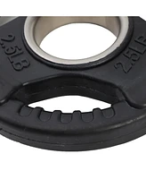 HolaHatha 2.5 Pound Olympic Rubber Coated Weight Plate w/Tri Grip Handle, Black