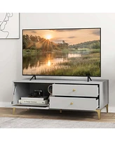 Modern Tv Stand for 55" TVs with Drop Down Door Cabinet 2 Storage Drawers