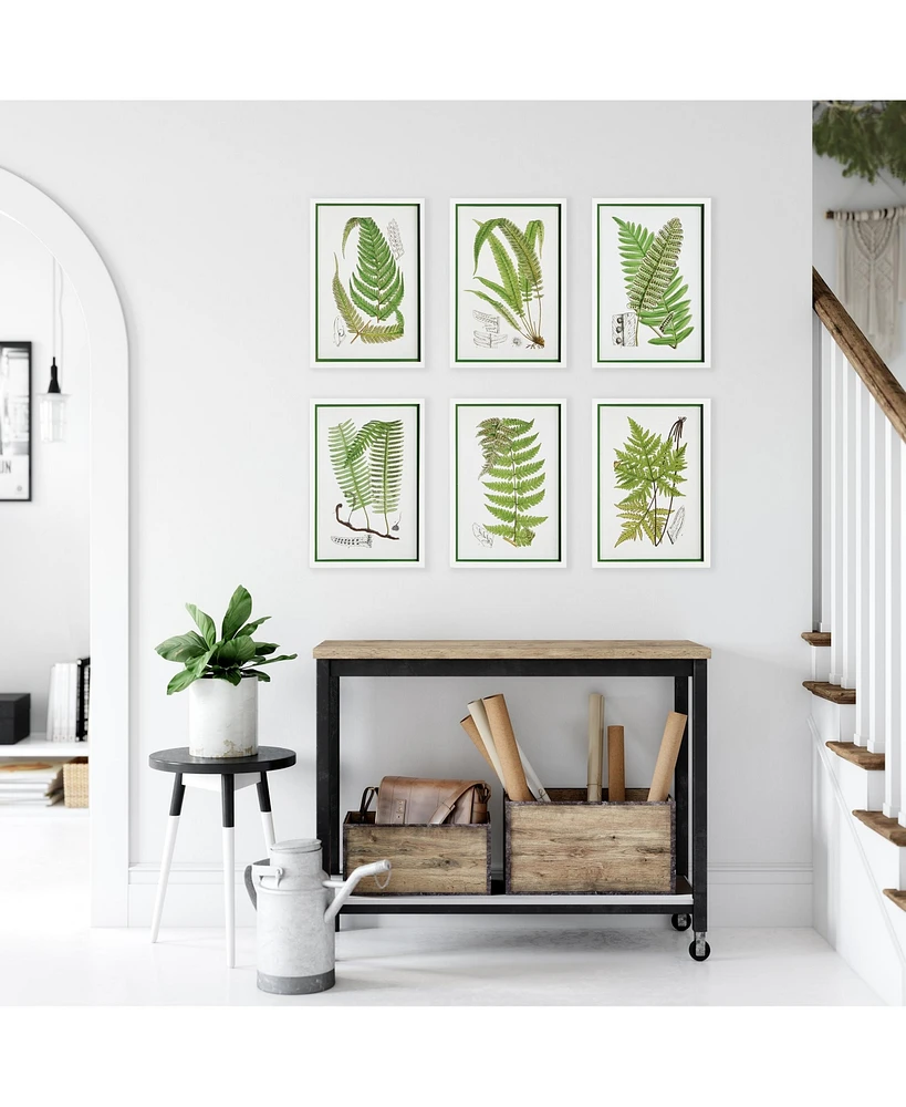 Layered Fern Prints, Set Of 6