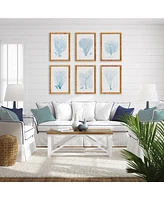 16"W x 1"D x 22"H Sea Fan And Coral Study In Blue Framed Wall Art Set of 6