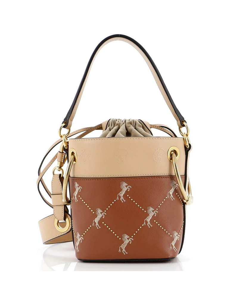 Pre-Owned Chloe Mini Roy Bucket Bag Embroidered Leather