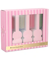Macy's Flower Show 4-Pc. Striped Champagne Flutes, Exclusively at Macy's