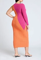 Eloquii Plus Colorblocked Asym Dress