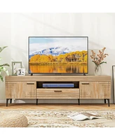 Tv Stand for 65 Inch TVs Modern Entertainment Center with Drawer 2 Storage Cabinets