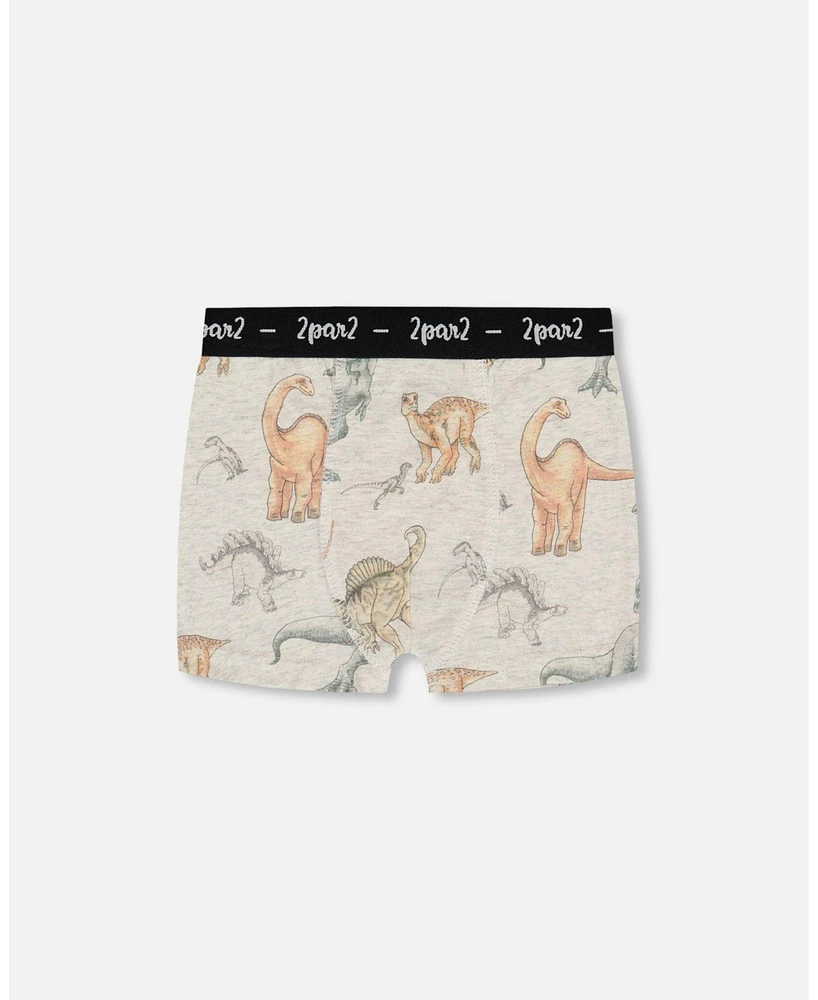 Boy Printed Cotton Boxer Shorts Dinosaur On Mottled And Tan Background - Toddler|Child