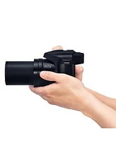 Panasonic Lumix FZ80D Point and Shoot Digital Camera