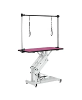 42.5INCH Hydraulic Pet Grooming Table With "H" Arm