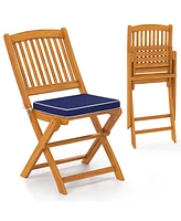 Outdoor Folding Chairs with Seat Cushions for Comfortable Patio Seating (Set of 2)