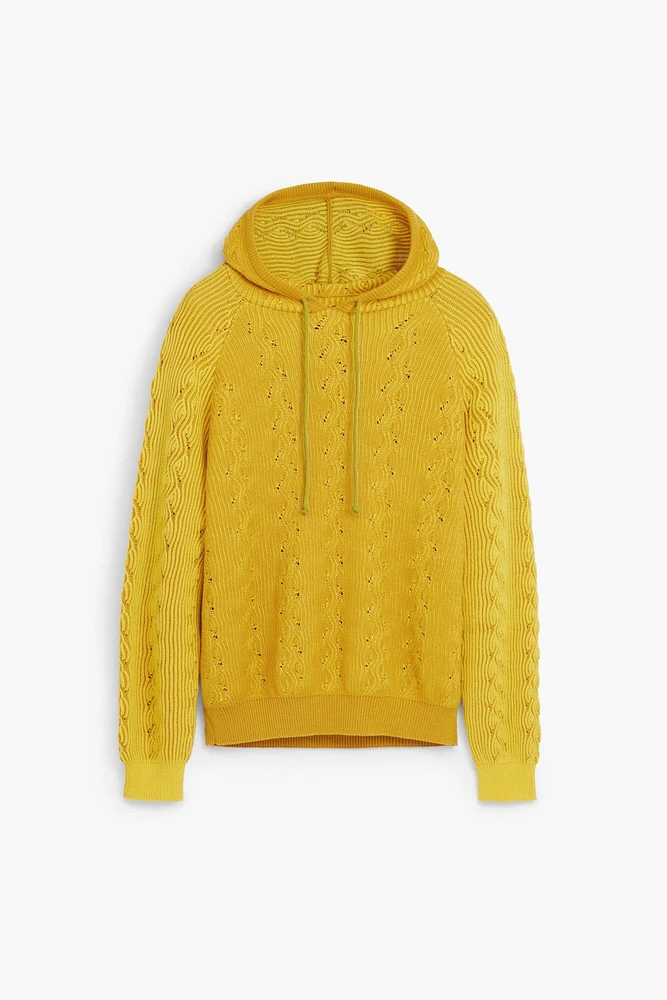 Desigual Men's Hooded sweatshirt with eyelet details