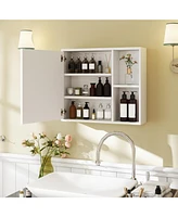 Bathroom Medicine Cabinet with Single Mirror Door