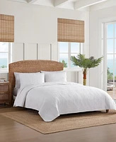 Tommy Bahama Line Palm Cotton Reversible 3-Pc. Quilt Set