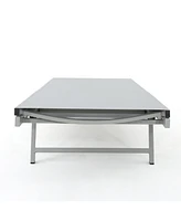 Luxurious Chaise Lounge Set for Sunbathing and Poolside Comfort