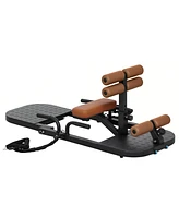 Soozier Sissy Squat Machine Hip Thrust with Push Up Sd,