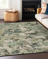 Addison Chantille ACN885 5'x7'6 Area Rug