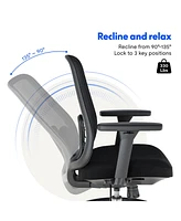 FlexiSpot C2HB-Foam Ergonomic High-Back Office Chair, Black