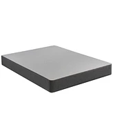 Beautyrest 2025 Triton Standard Foundation