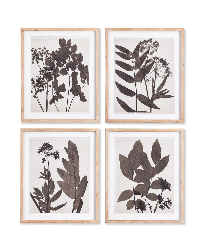 Pressed Foliage Prints, Set Of 4