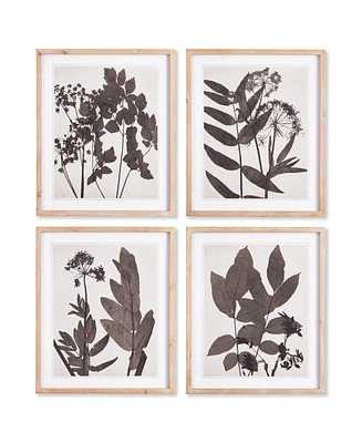Pressed Foliage Prints, Set Of 4