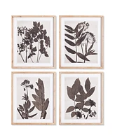 Pressed Foliage Prints, Set Of 4