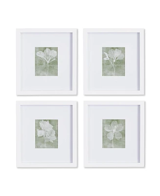 Translucent Floral Petite Prints, Set Of 4