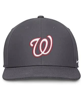 Nike Men's Gray Washington Nationals Pro Performance Snapback Hat